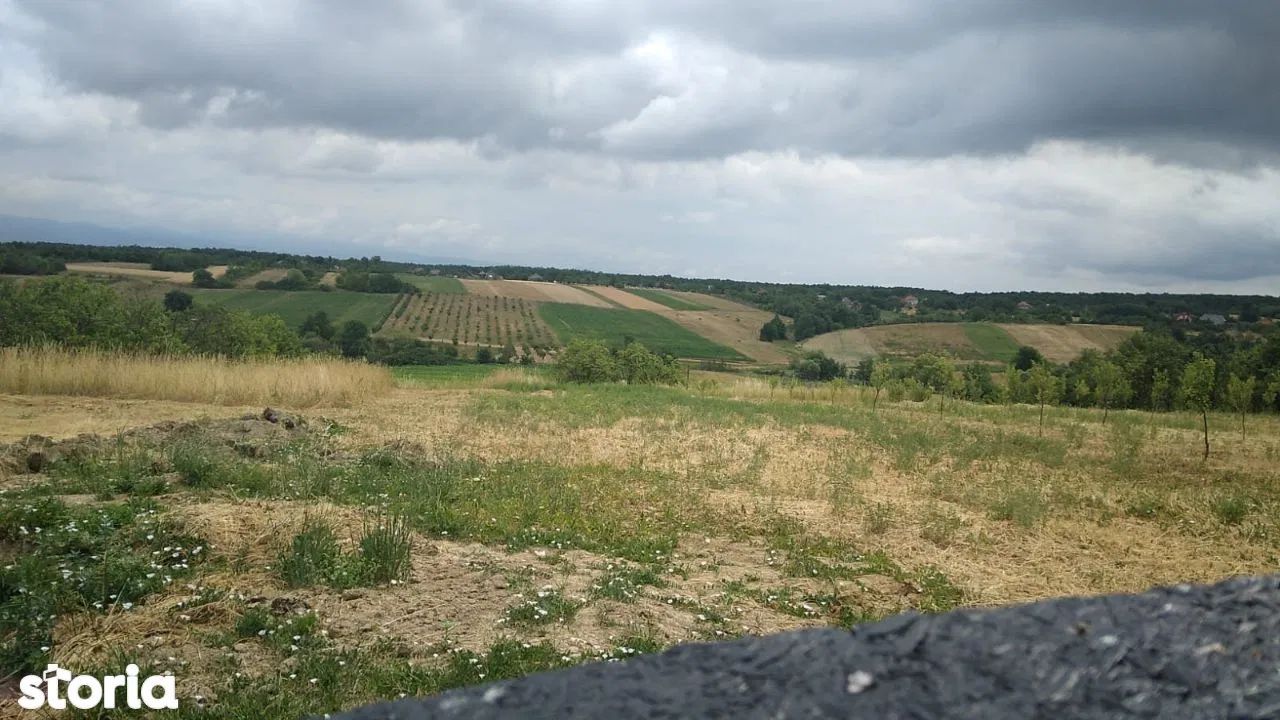 Ag EUROPA vinde 14 ari teren central in Ardud cu toate utilitatile.