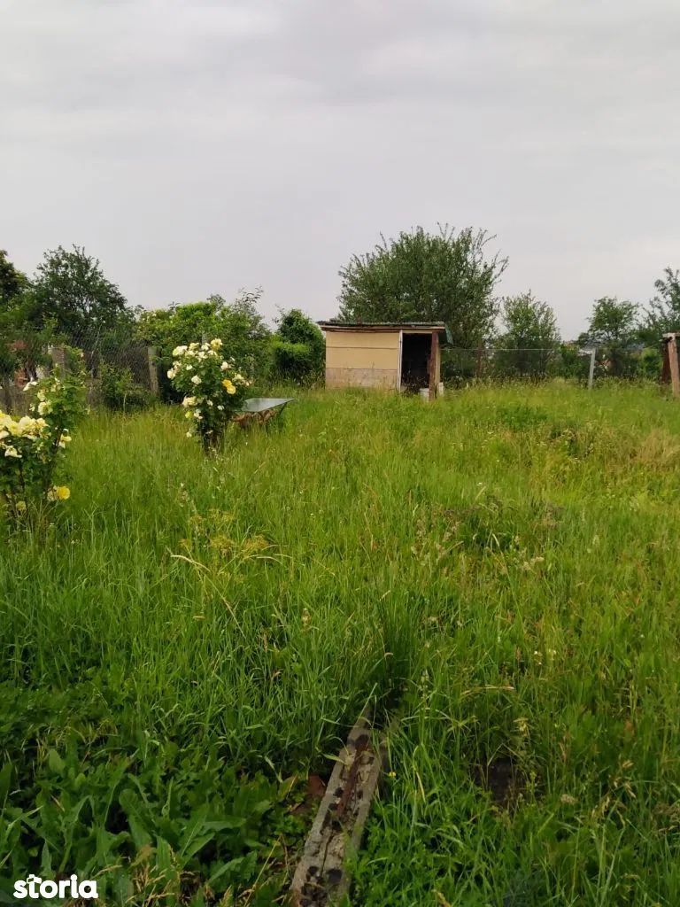 Ag EUROPA vinde teren intravilan cu toate utilitățile în Ardud.