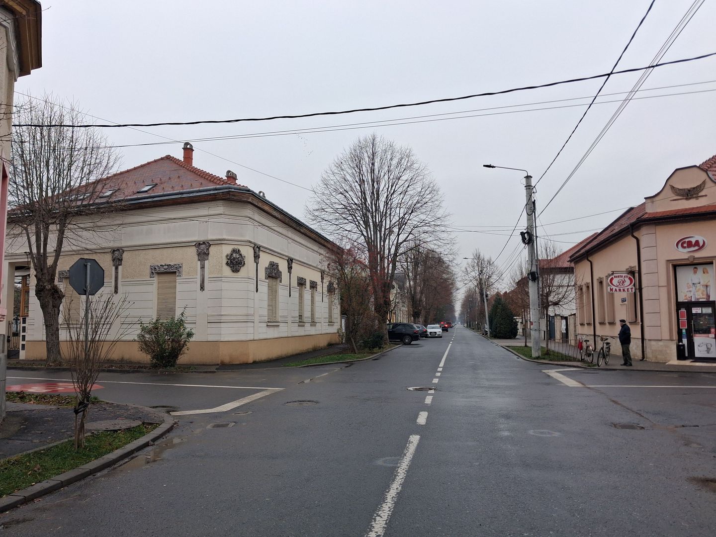 BRASADAS vinde prin REPREZENTARE EXCLUSIVA cladire Titulescu