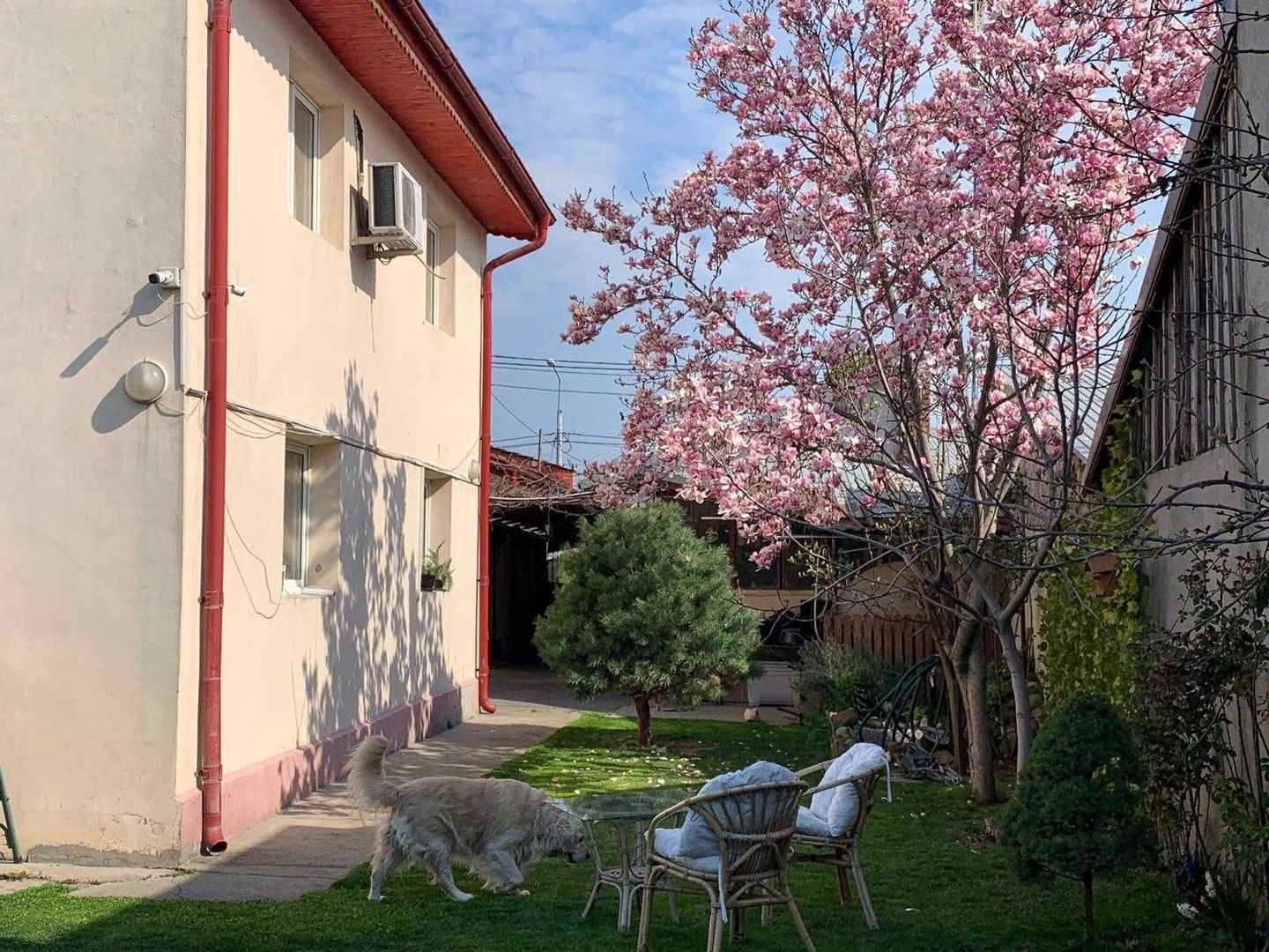 Vand casa curte + teren + SPATIU COMERCIAL