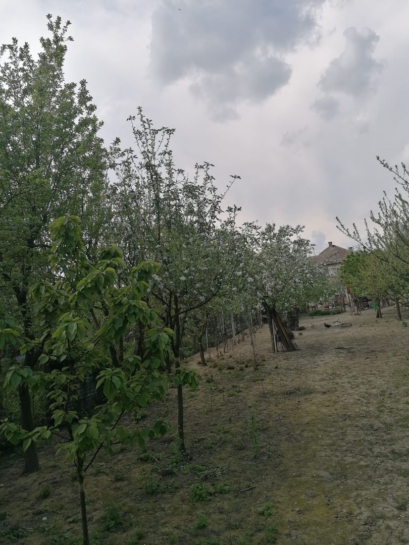 Ag EUROPA vinde casa 6 cam teren 11 ari în zona 14 Mai.