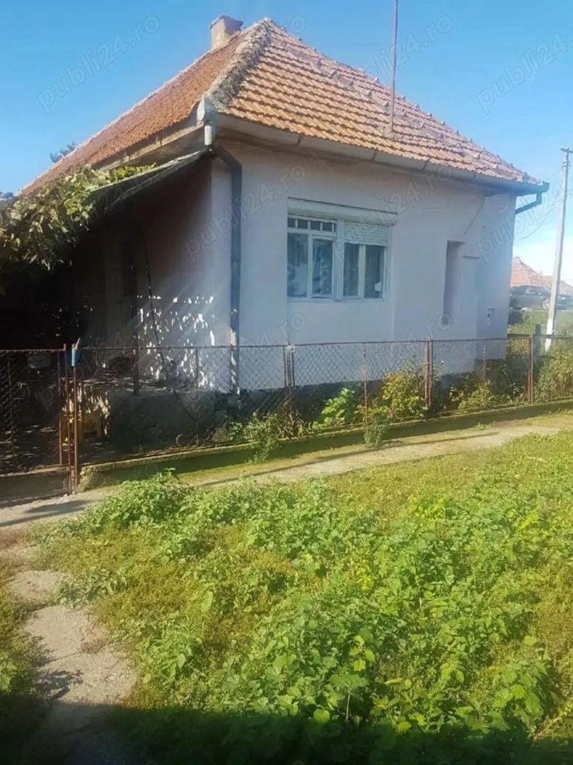 Vand casa la tara