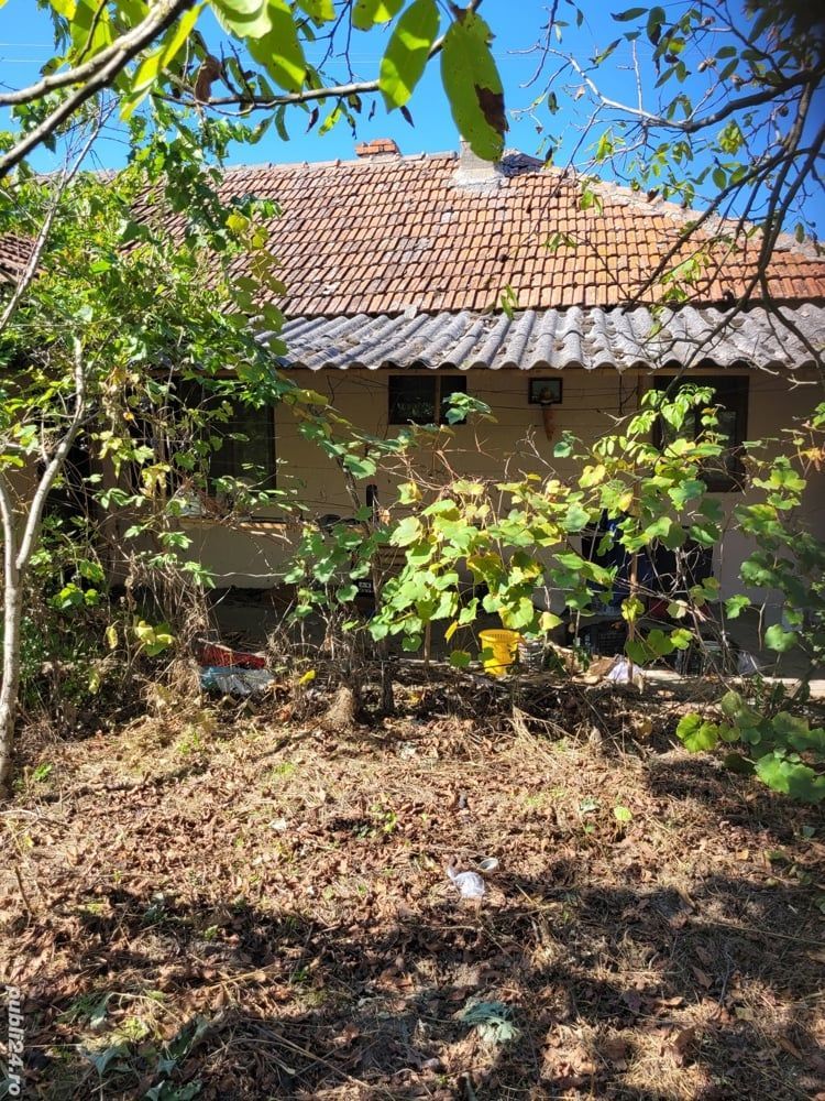BRASADAS vinde casa in Moftinul Mare.