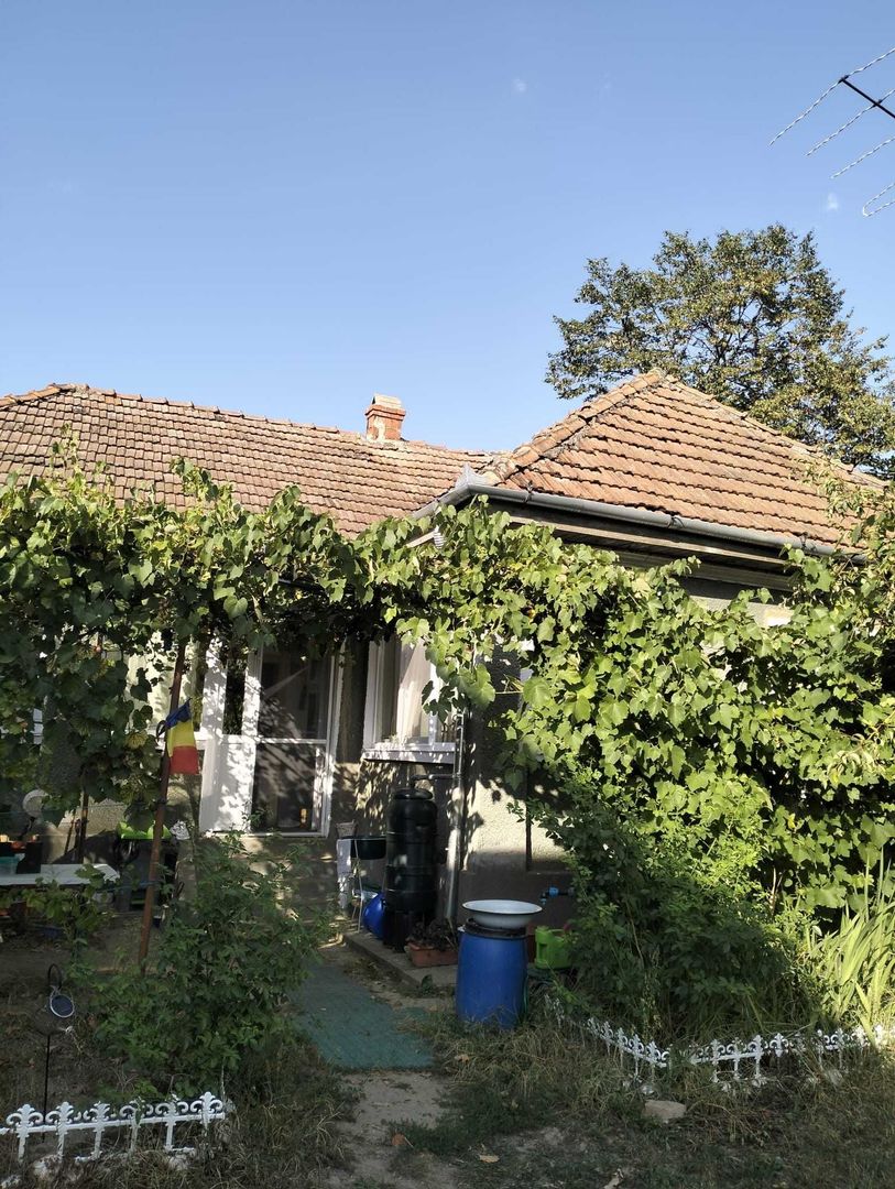 Casa 81mp, teren 81 ari, anexe, pomărie tânără de meri de vânzare