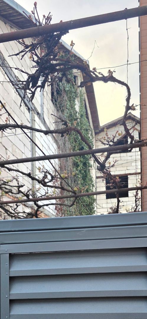 Proprietate exclusivistă cu potențial investițional remarcabil – zonă