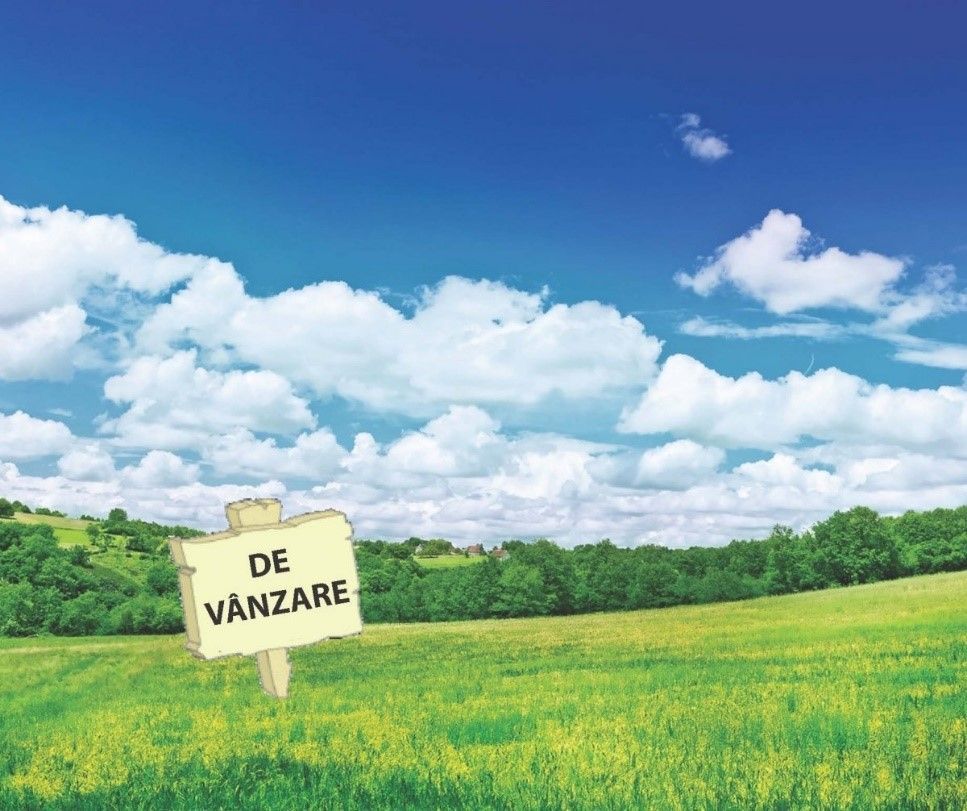 De vanzare 8 ha teren arabil extravilan Branistea, 11.000euro/ha negociabil