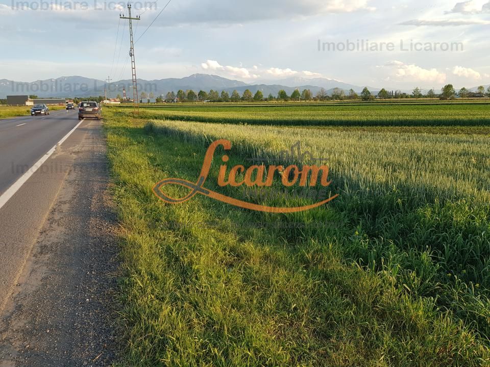Teren Stupini Calea Feldioarei 11800 mp,25 euro/mp, front la asfalt-DN