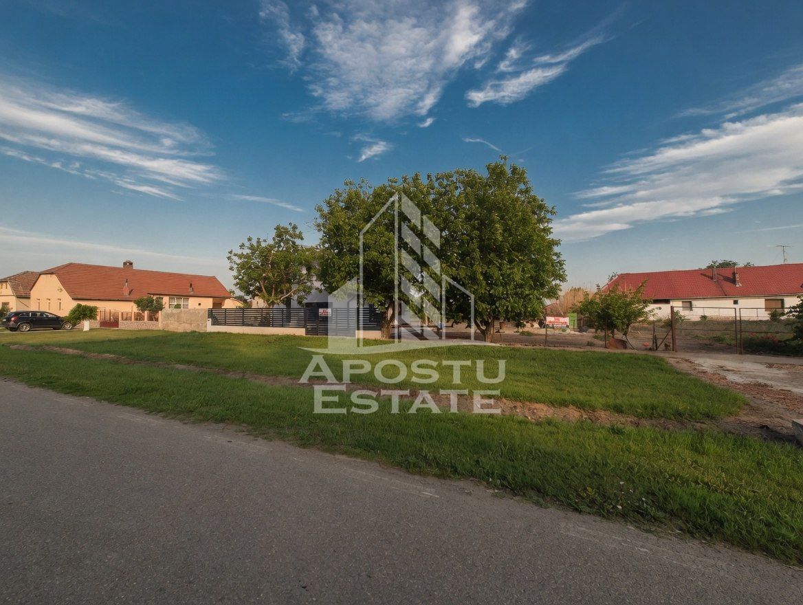 Casă de vânzare în Iecea Mică, de finalizat după propriul gust