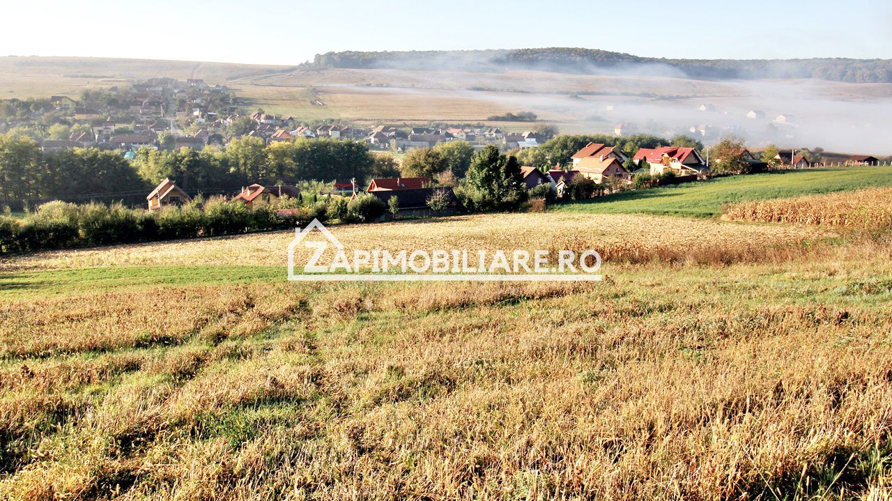 Teren 25.000 mp. Comuna Voiniceni ,12 euro mp.comision ZERO