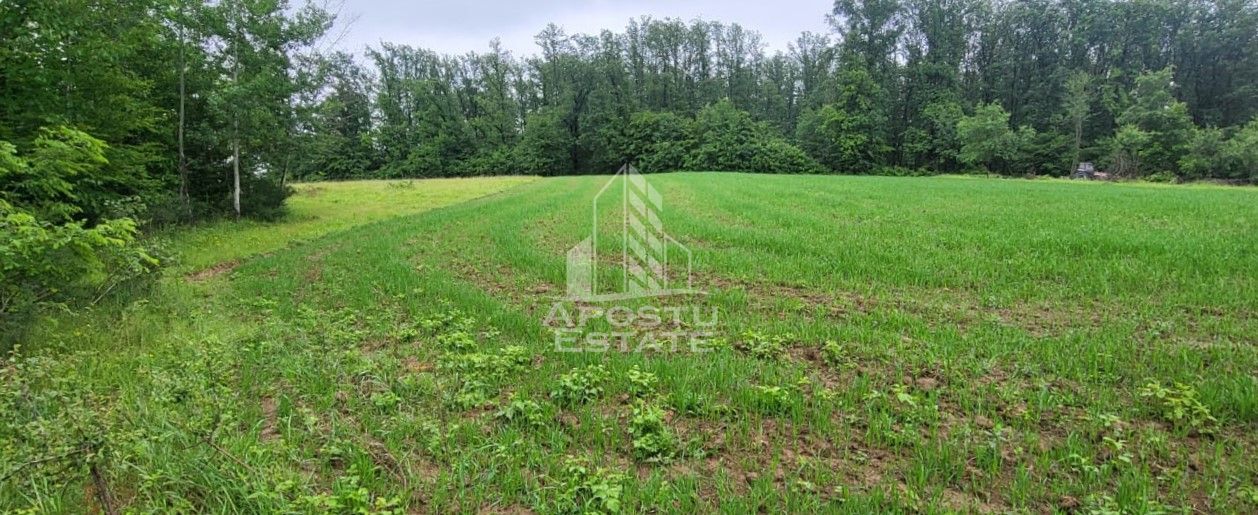 Teren mixt de 8.600 mp, ideal pentru investitie, Cuied