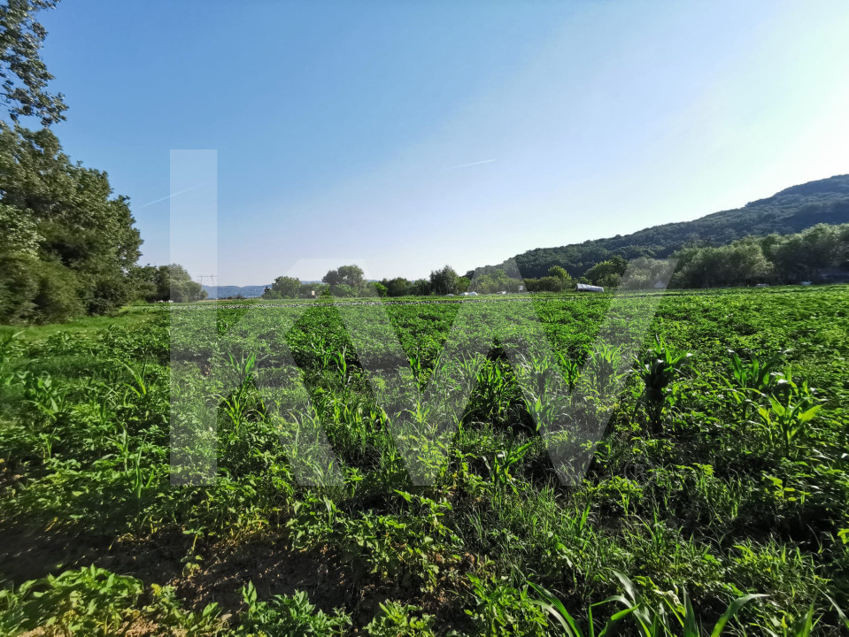 Teren extravilan 7500mp, cu acces la astfalt, zona Bungard