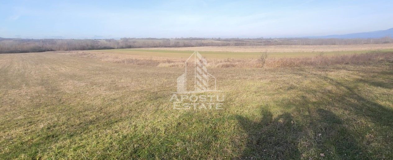 Teren mixt de 10.000 mp, ideal pentru investitie, Barsa