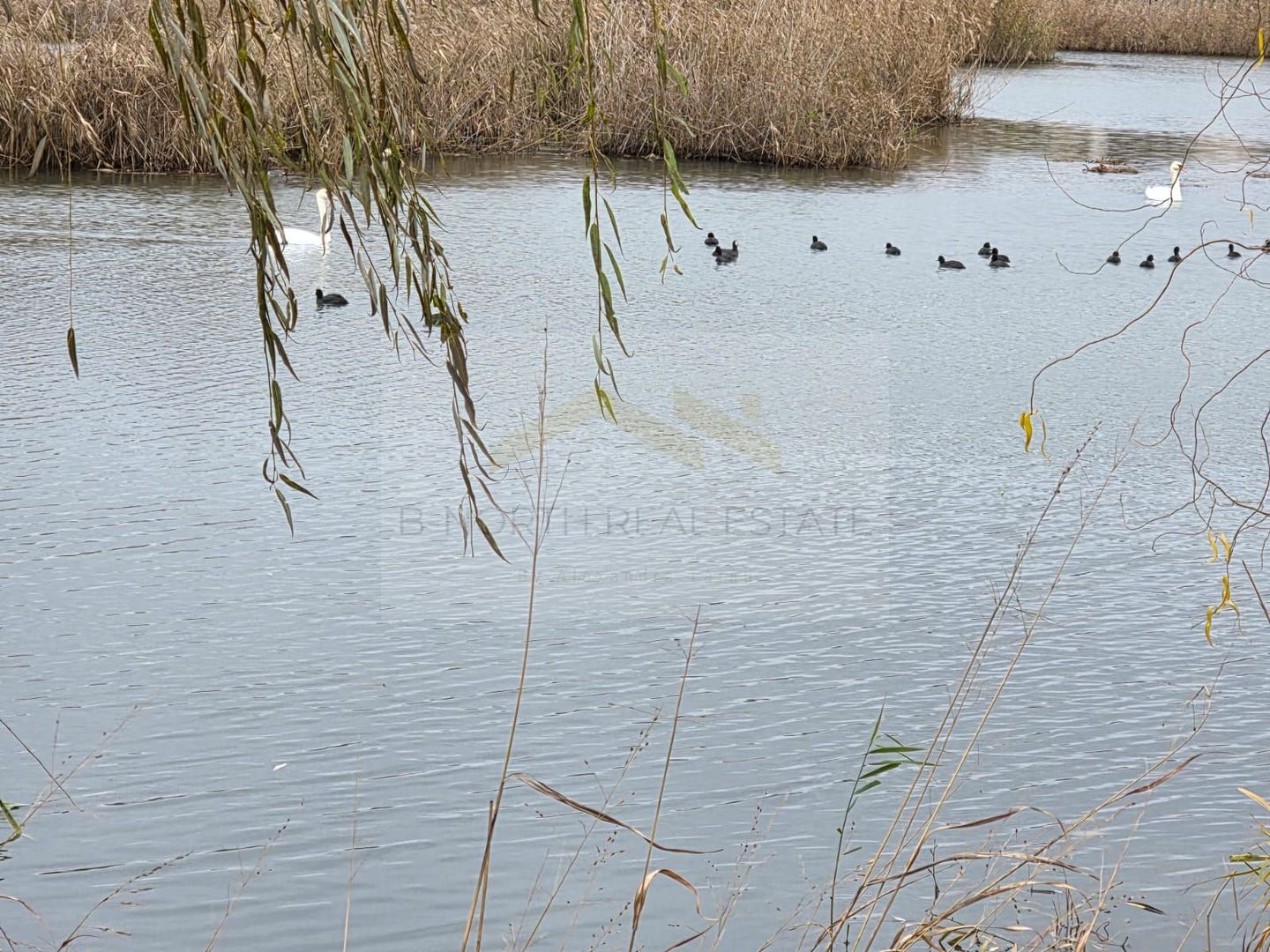 Parcelă Intravilană cu Vedere Superbă la Lac, Investiție de Top în Corbeanca