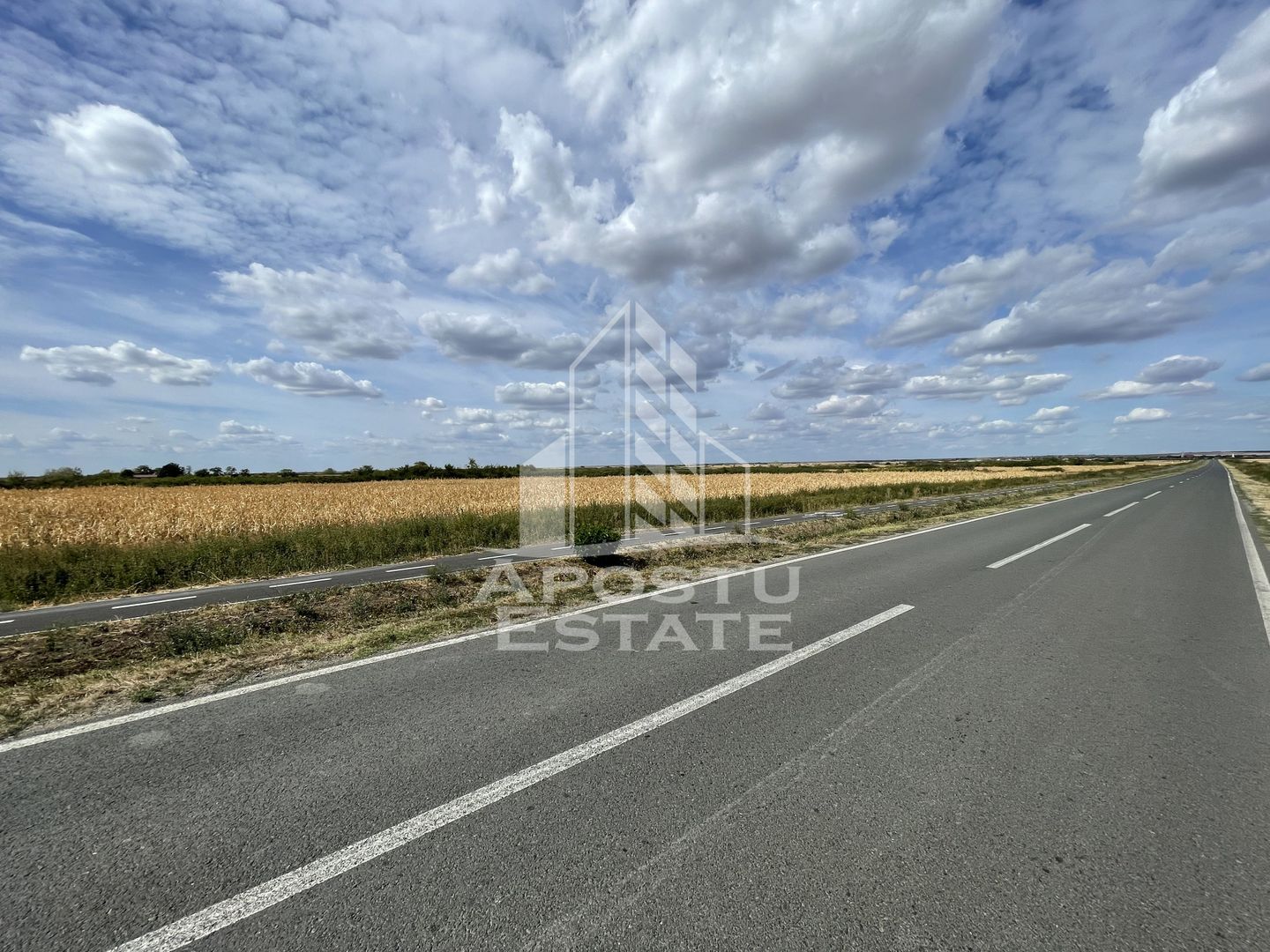Teren 55.000 mp, front stradal 354 ml, asfalt, Remetea Mare -Ianova.