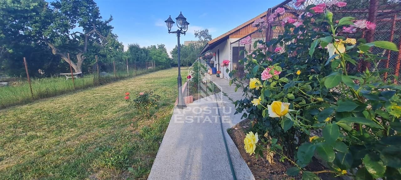 Casa individuala de vanzare cu teren de 2000 mp, Fratelia, Timisoara