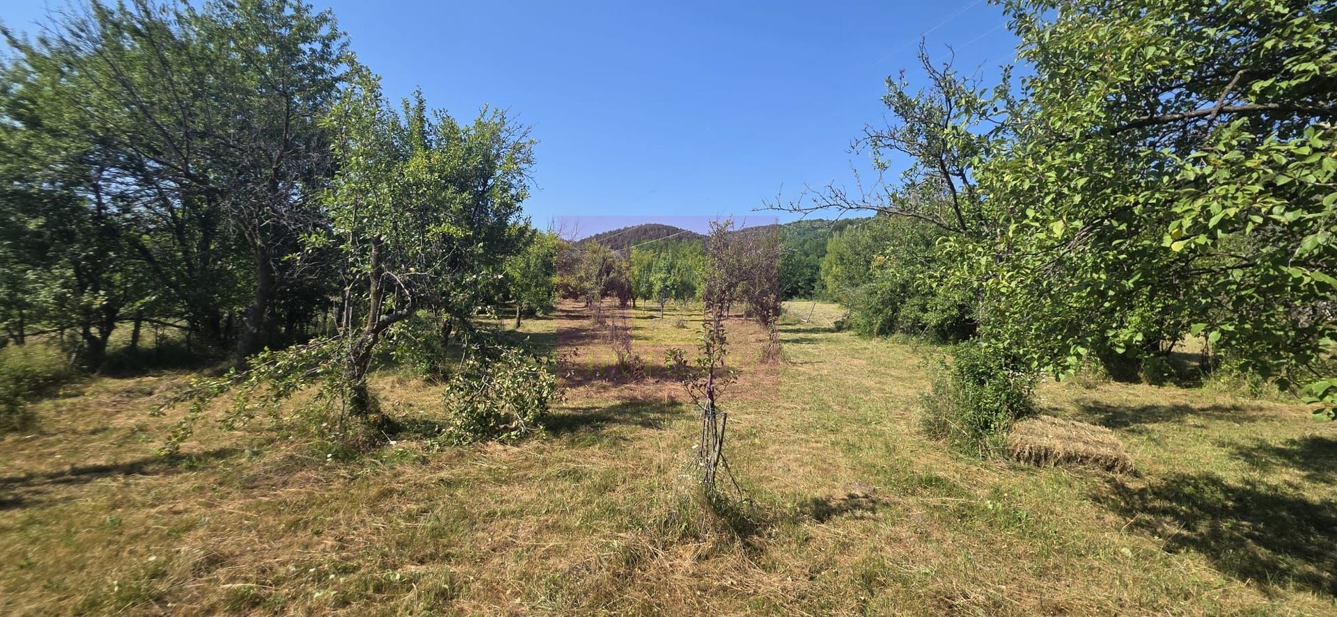 Teren intravilan de vanzare 3375 mp in Brebu