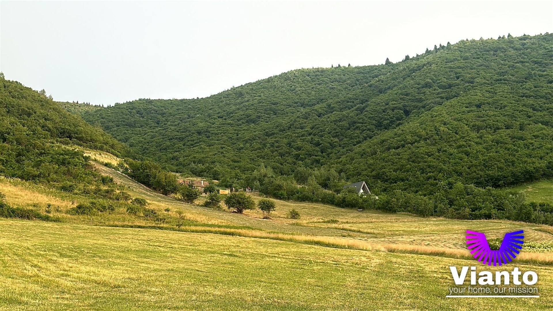 Oportunitate Teren Pt Investitie 3408mp in Gura Raului
