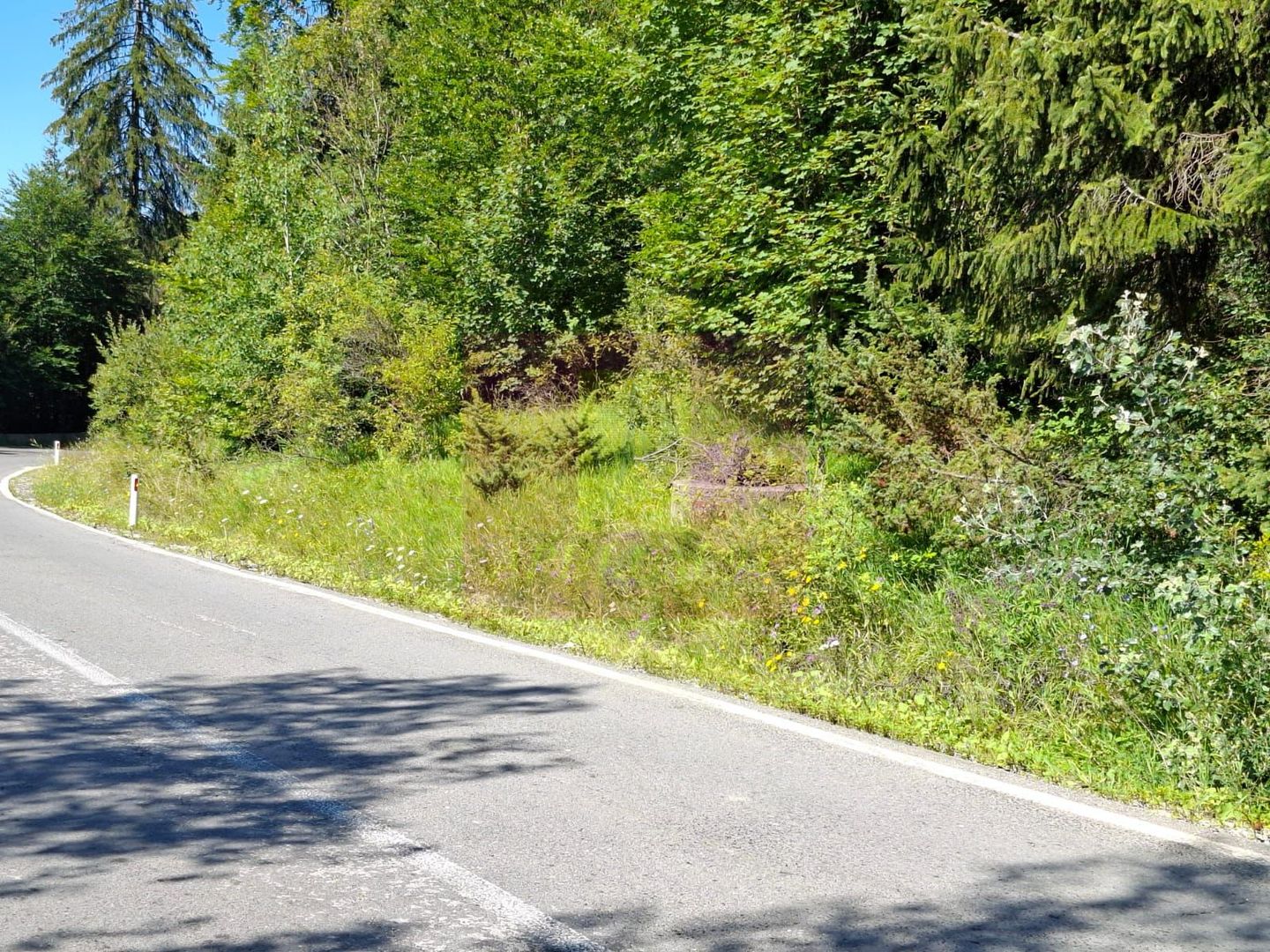 Teren de vânzare în zona Cota 1000 – Sinaia