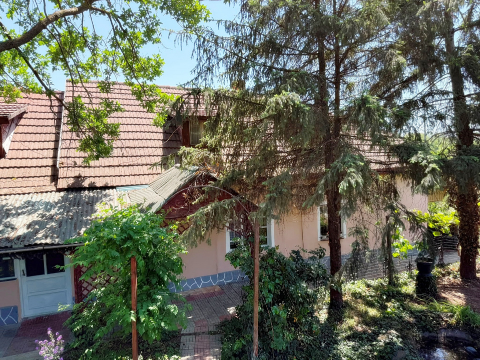 Casă de vanzare cu teren generos de 6.732 mp la E671 Leș, Bihor