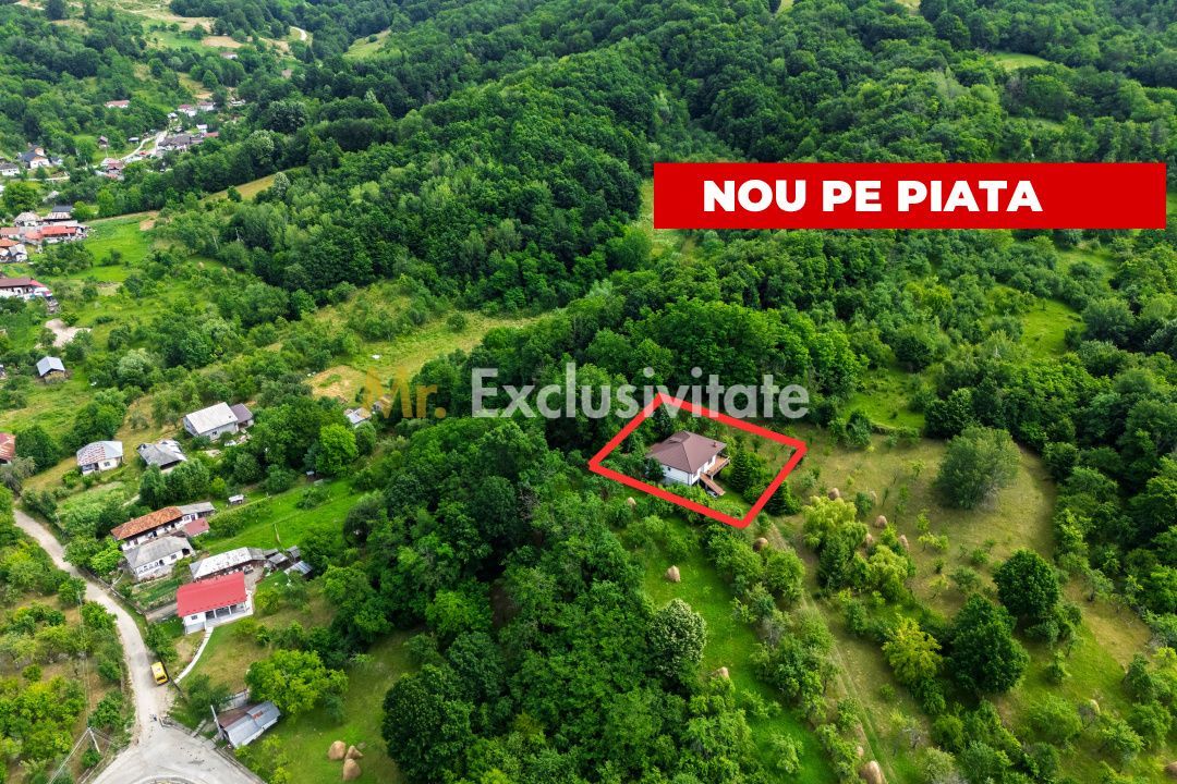 Proprietate de poveste în Corbi, Argeș - Doua case si 6300 mp teren intravilan