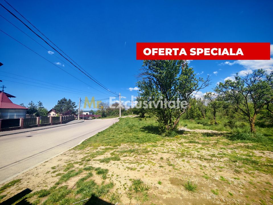 Teren intravilan 2.000 mp in Mioveni – Ideal pentru casa sau investitie!