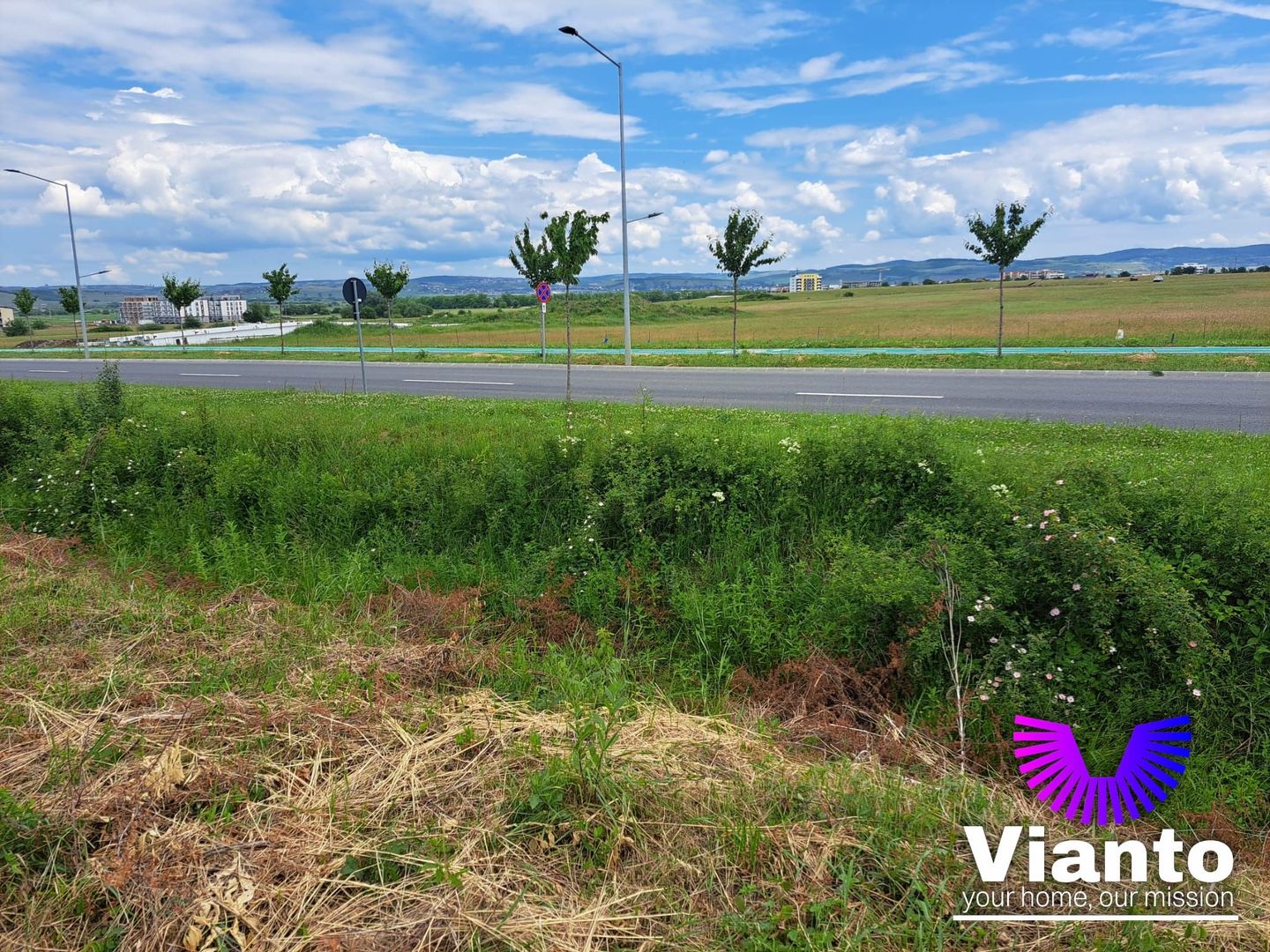 Oportunitate Teren Intravilan 9000mp-Turnisor