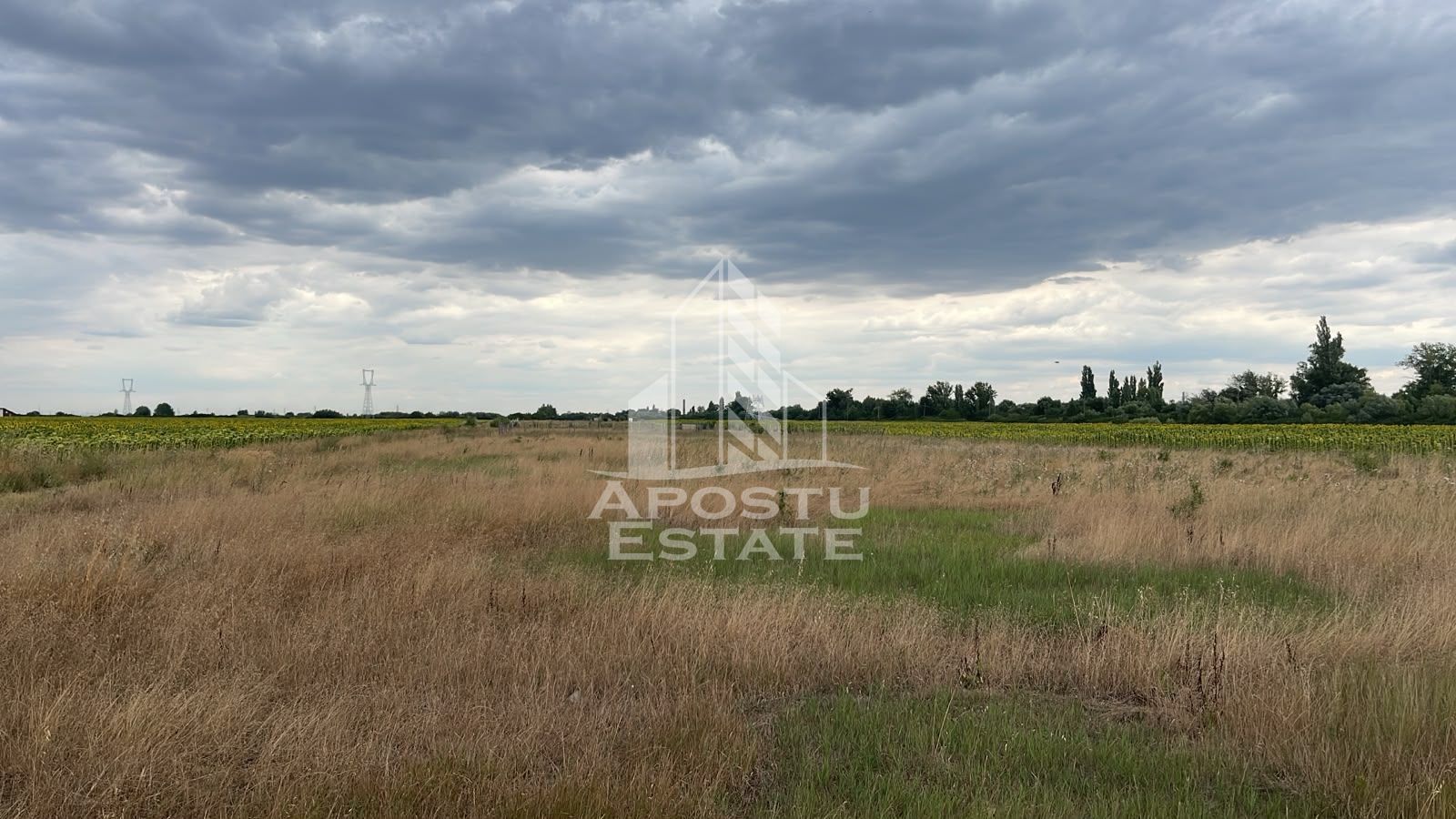 Parcela teren casa, intravilan, 1000 mp, Sanmihaiu Roman