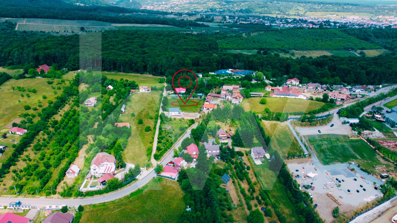 Teren intravilan 2000 mp - Tocile, vedere panoramică spre munte și pădure
