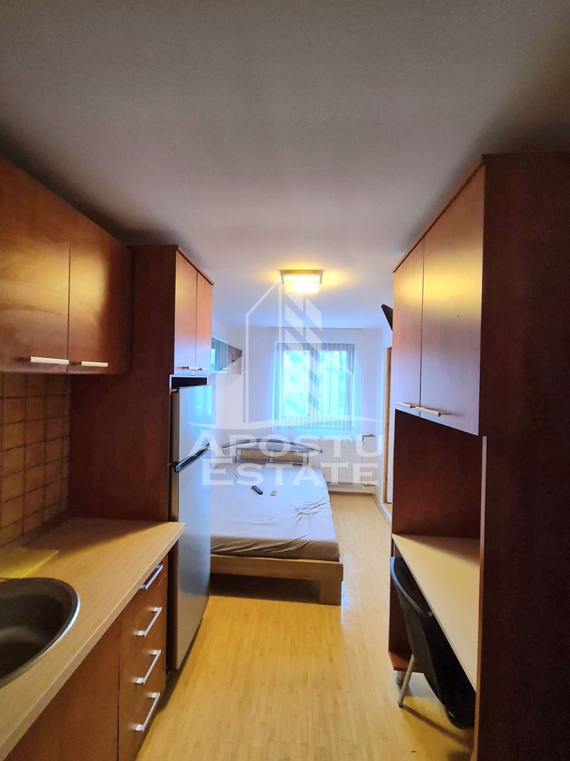 Garsoniera pet friendly,zona Buziasului