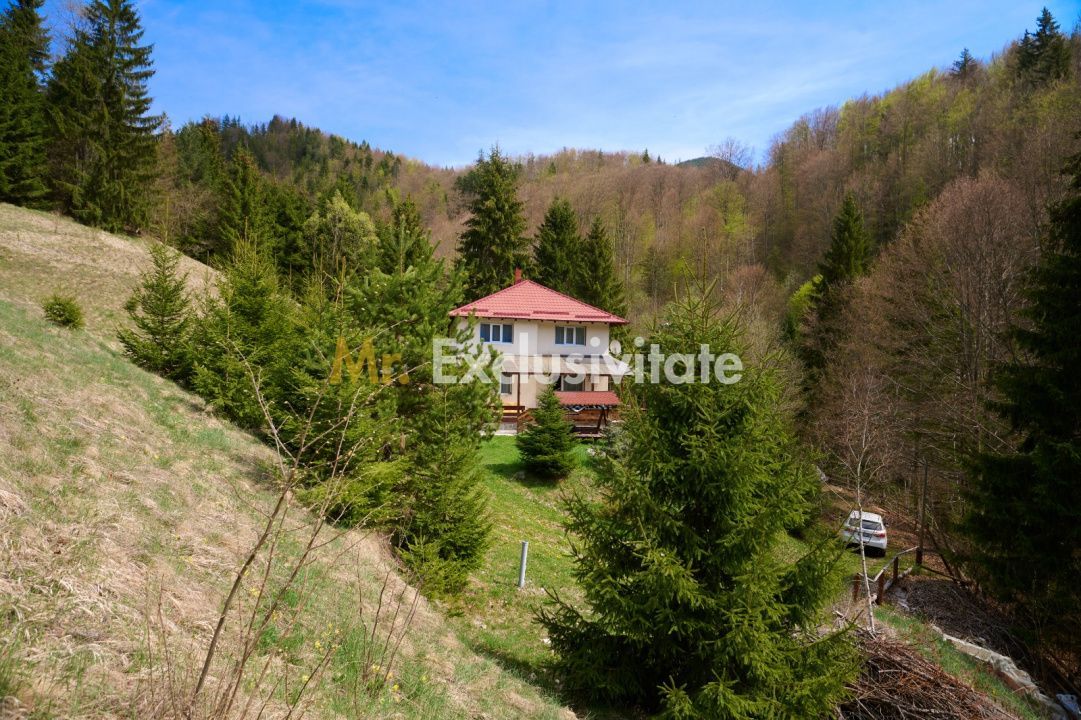 Casa Dambovicioara - CASA de vacanta sau PENSIUNE profitabila