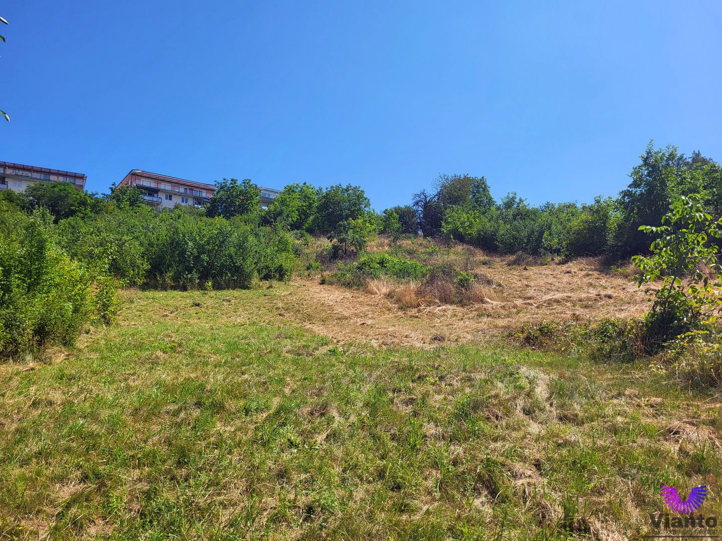 Teren Intravilan 546 mp | Panorama deosebita | PUZ in lucru