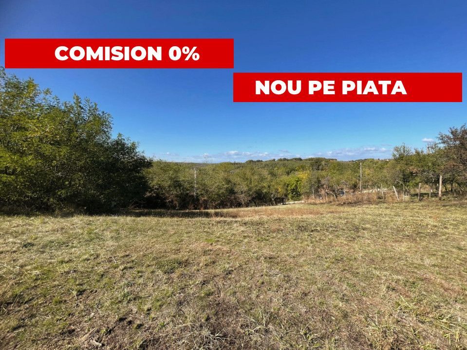 Teren generos Argeș Babana