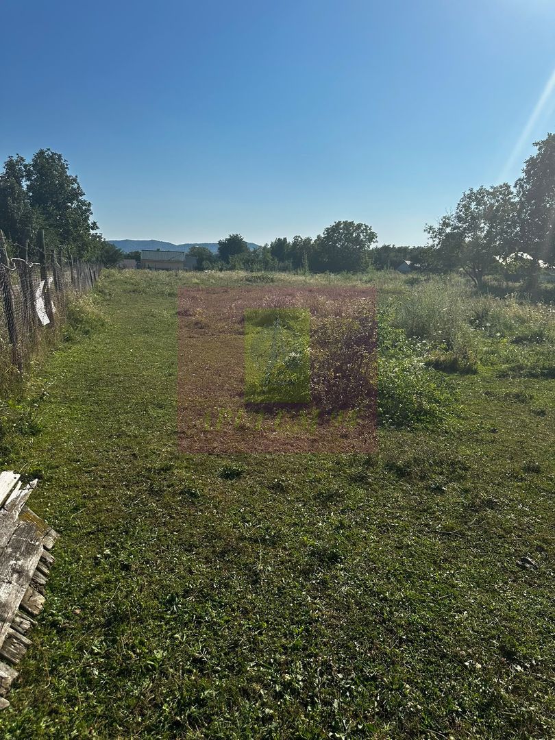 Teren intravilan 3.750 mp de vanzare in Campina