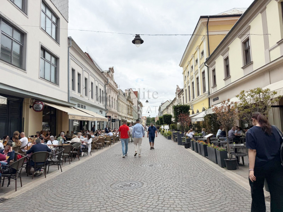 Spatiu Comercial Pietonala Vasile Alecsandri | 200 mp | Vitrina ampla