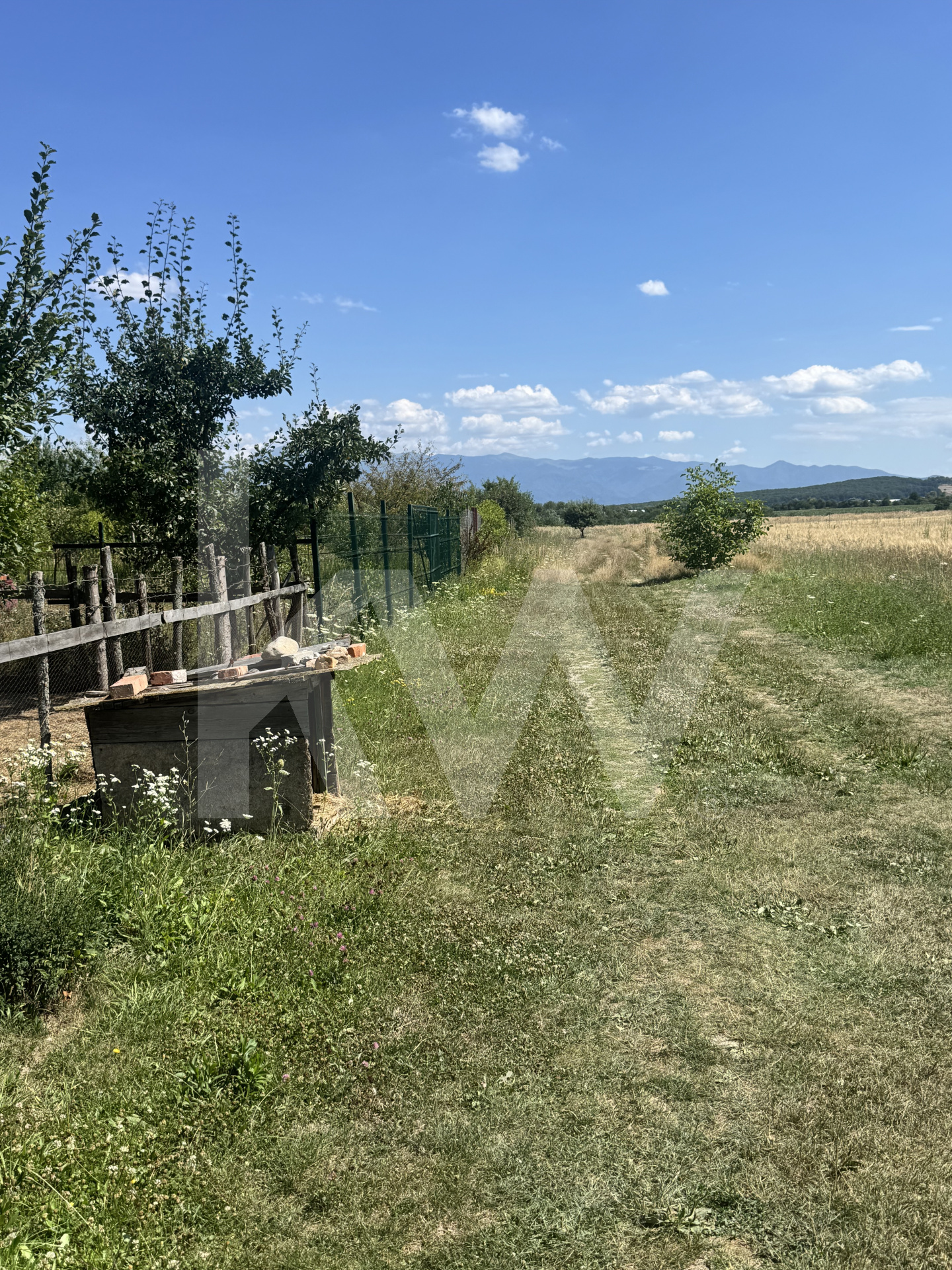 Teren 720 mp Seviș | 23 m front | Oportunitate investiție 24.480€