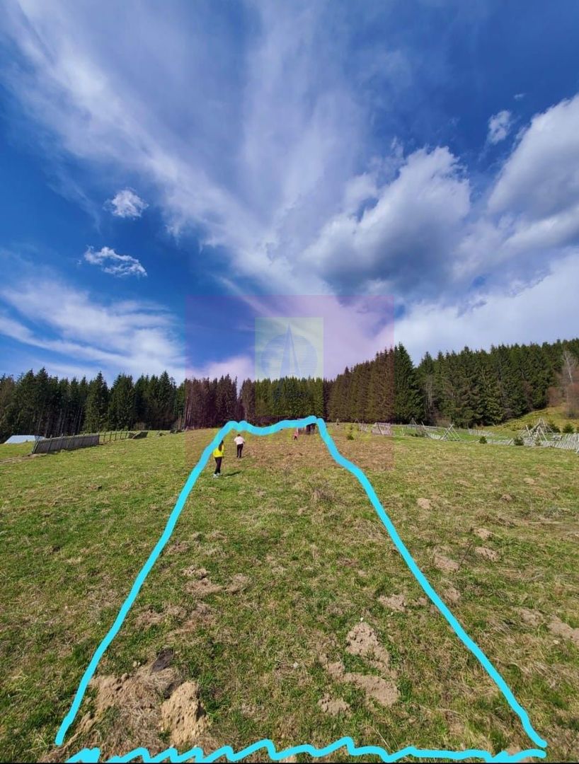 Teren intravilan 2500 mp in Valea Doftanei