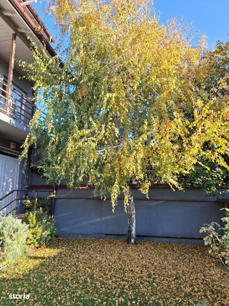 Casa cu mesteacan - DIRECT PROPRIETARI! - spectaculos toamna