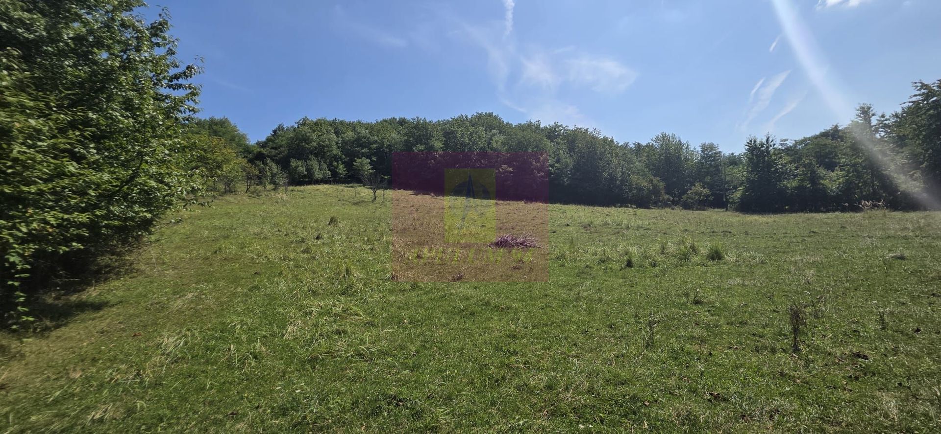Teren intravilan de vanzare 2500 mp in Banesti