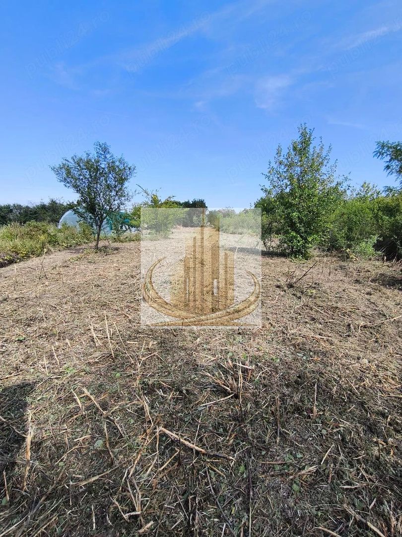Teren 5.800 mp Timișoara Ghiroda