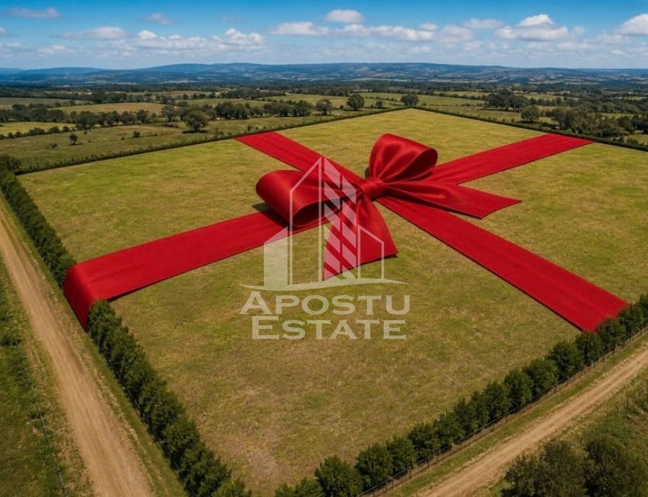 Parcele PUZ industrial 23,5 ha |17 euro+TVA| zona Nord Timișoara