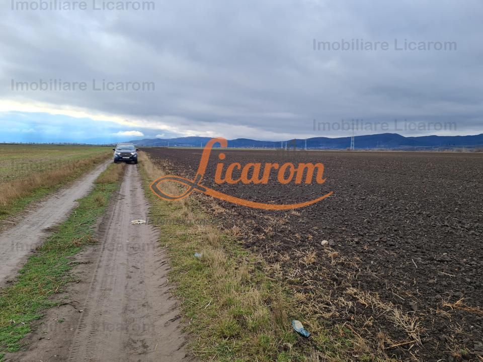 Teren extravilan 2,9 HA,intre Cristian si Vulcan