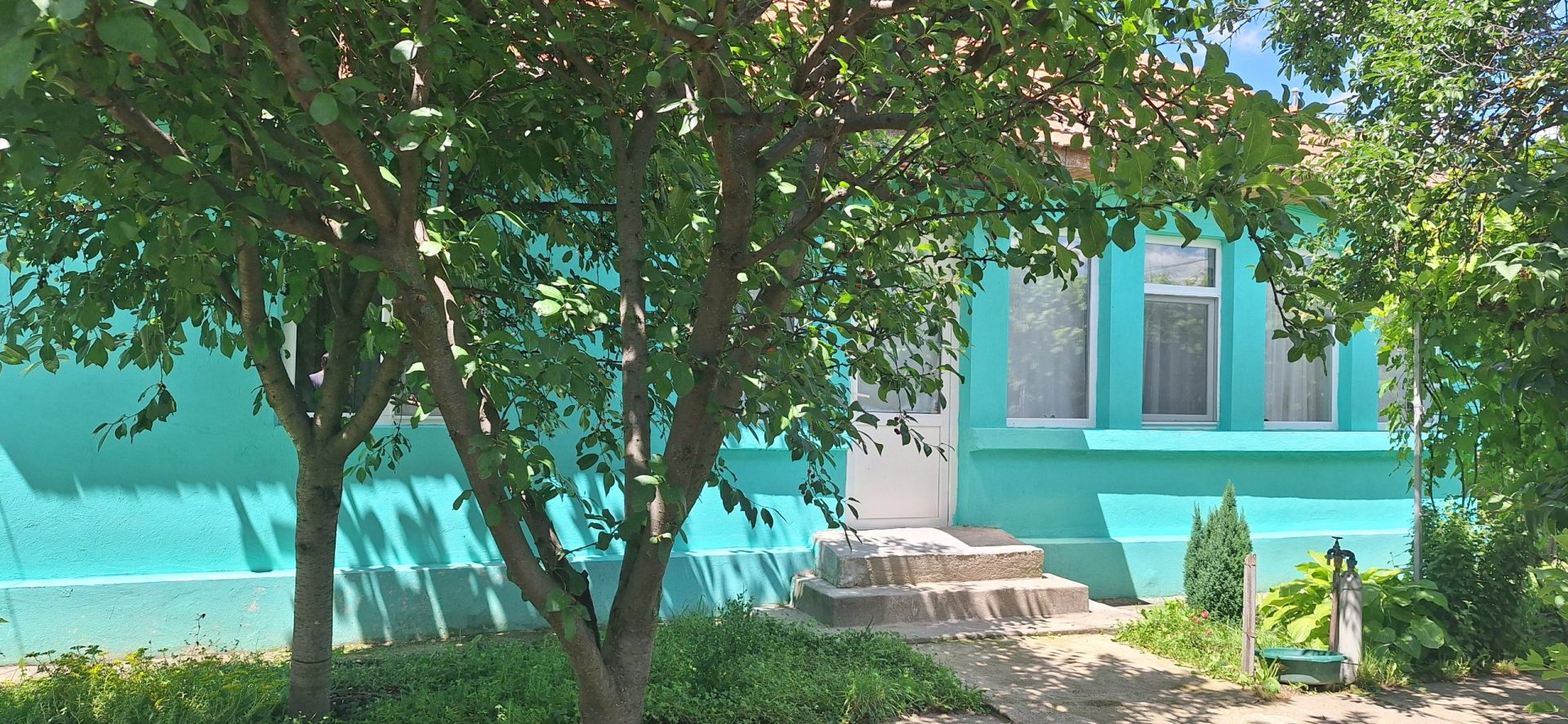 Casa renovata cu livada de pruni 3400 mp