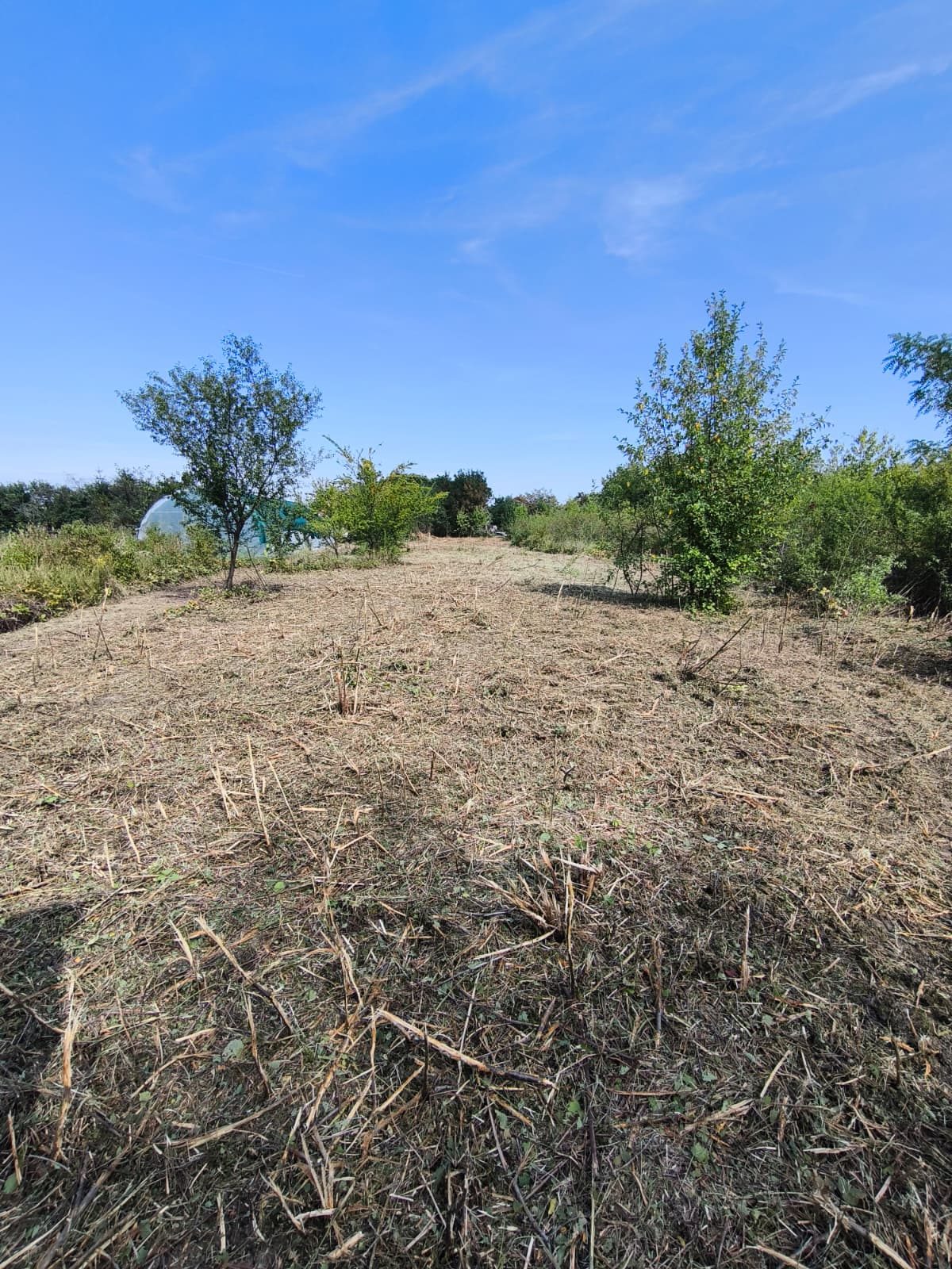 Teren Timisoara 5800mp. Proprietar