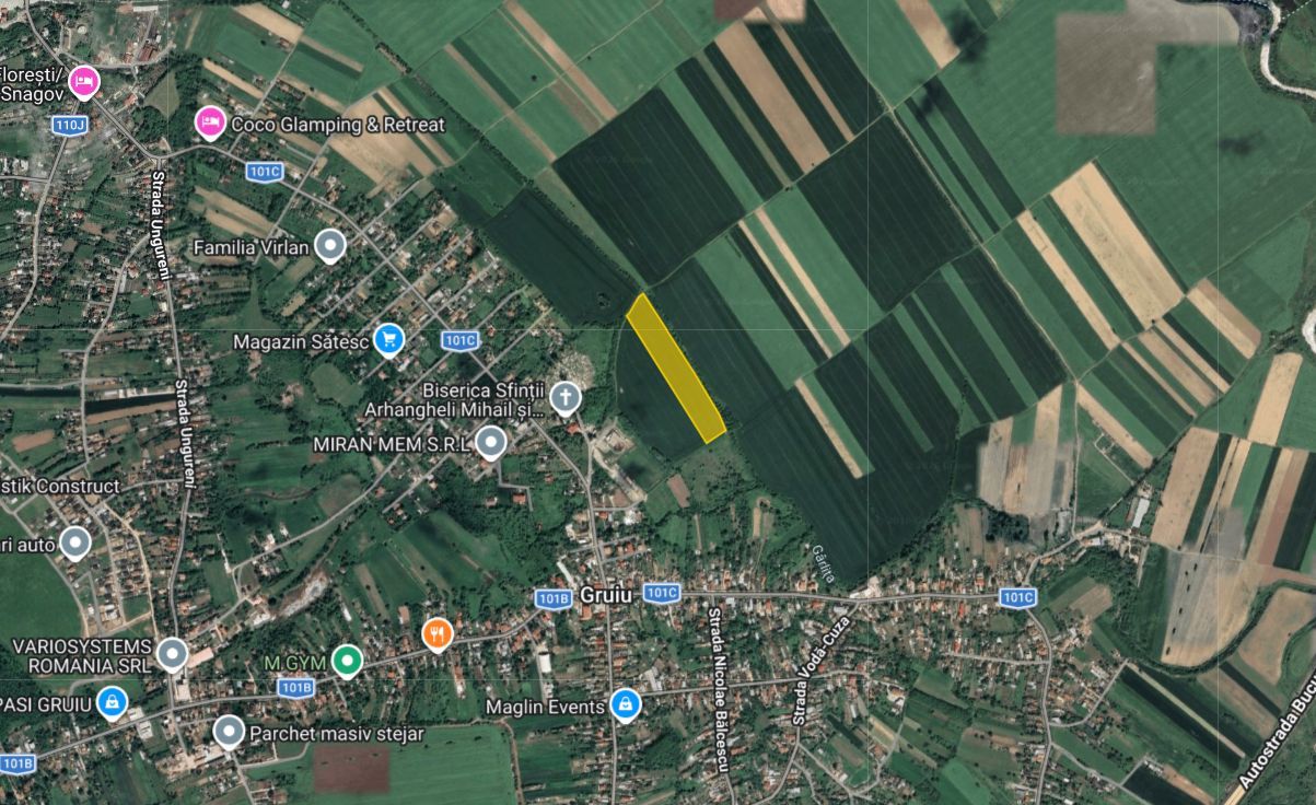 Cel mai bun pret din zona - 12 euro/mp