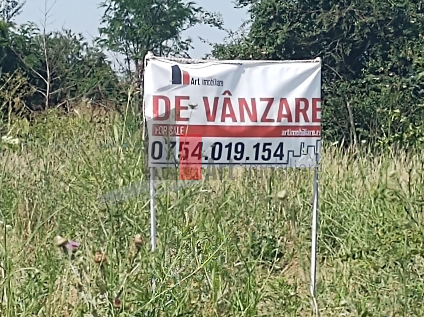 Vânzare 2 loturi de casă Dobreni Giurgiu