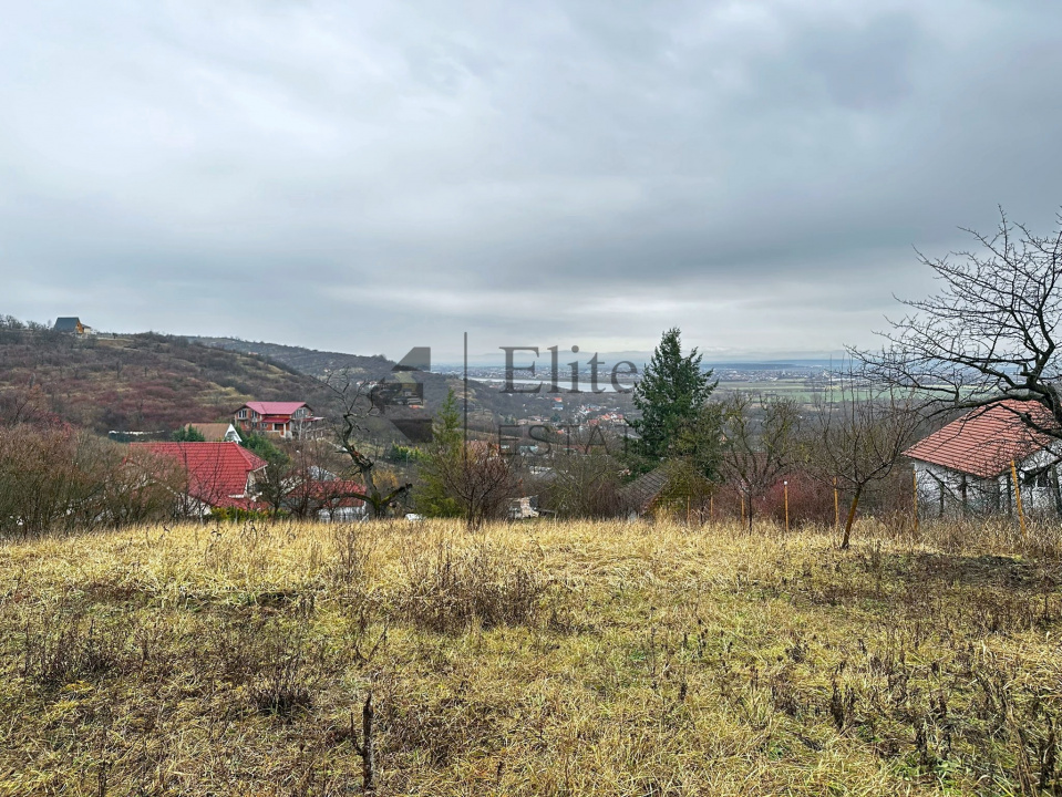 Teren intravilan 1765 mp cu panorama in Cartierul Podgoria
