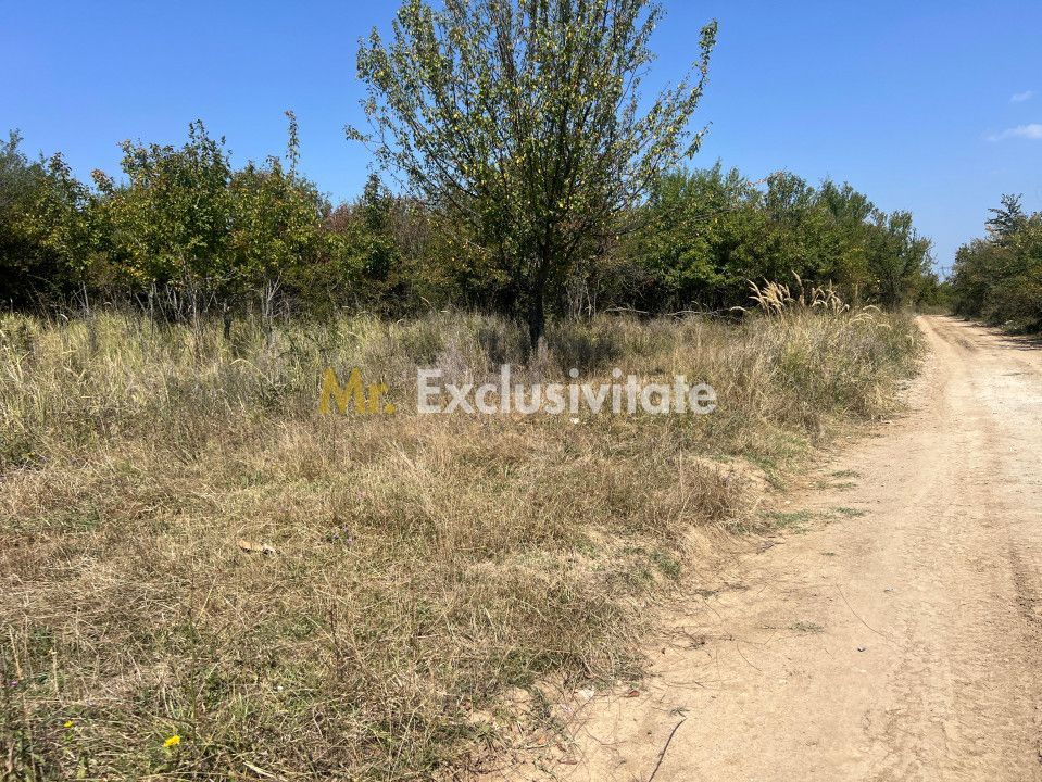 Teren intravilan 5744 mp Mosoaia-Prunilor