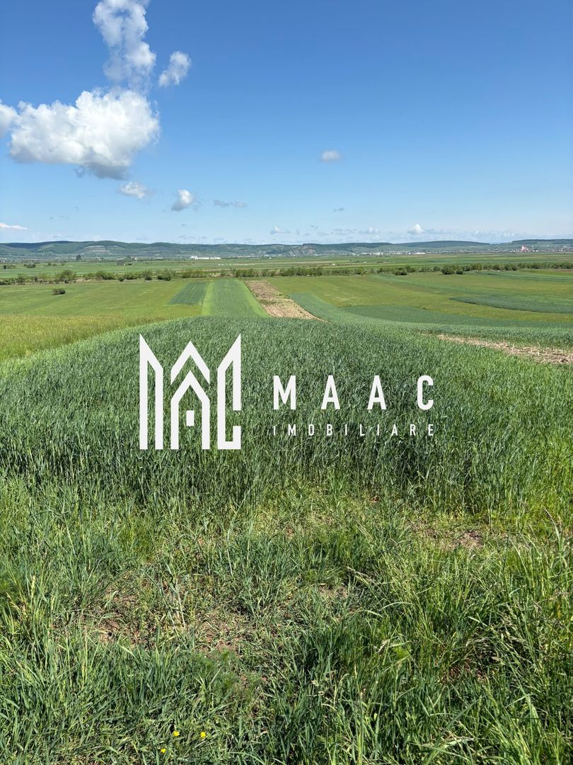 Teren extravilan 2393 mp | Gura Râului | acces, Carte Funciară