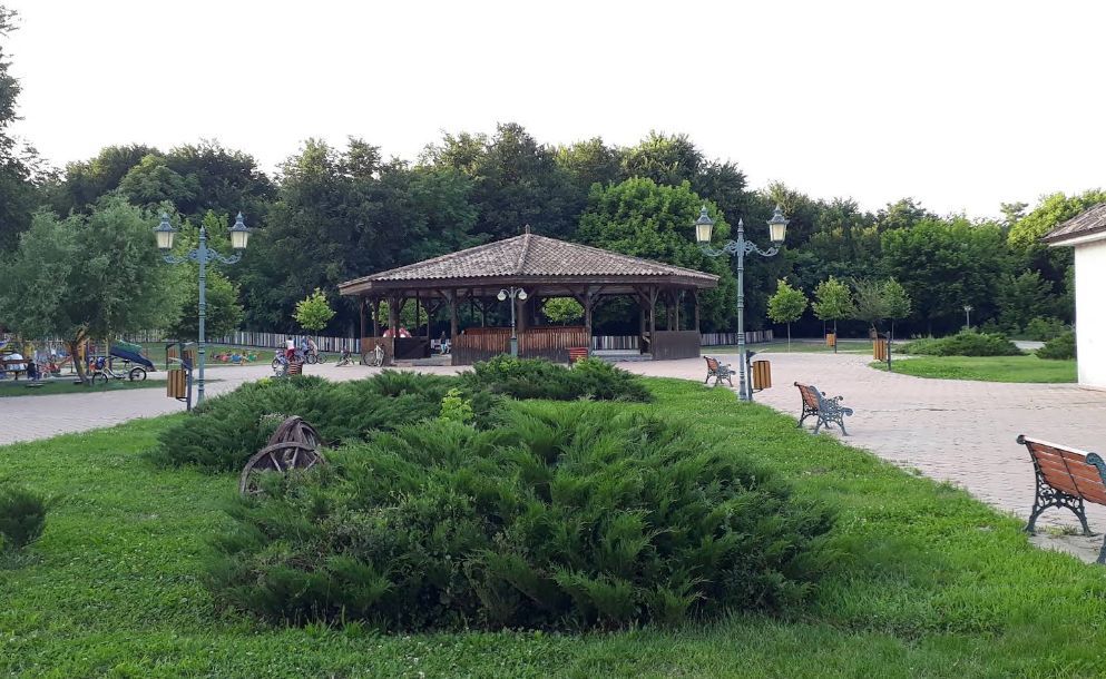 Proiect case insiruite I 3000 mp lotizat I Green City
