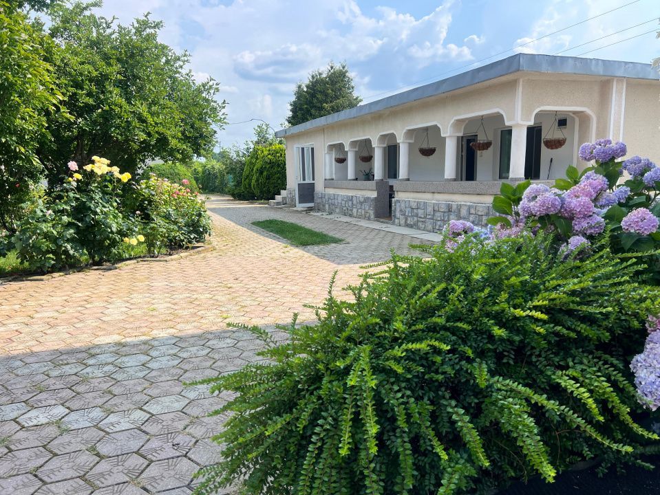 Casa visurilor cu 4000 mp livada roditoare si gradina Darmanesti-Arges